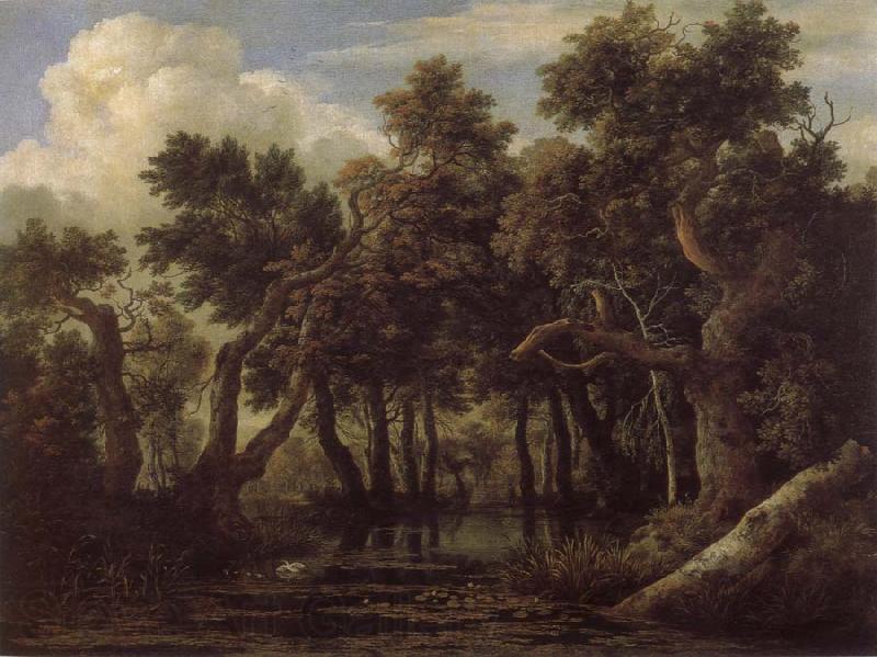 Jacob van Ruisdael Marsh in a Forest Norge oil painting art